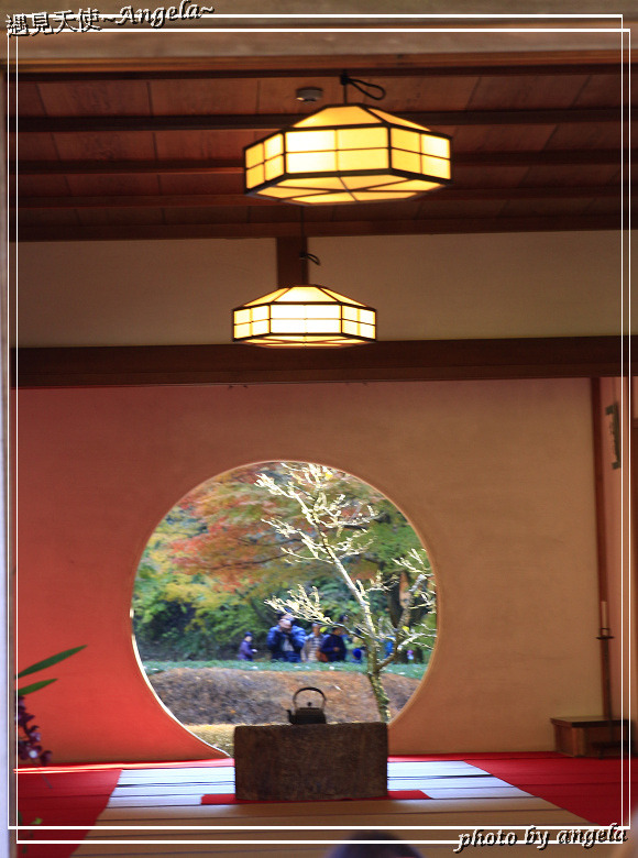 Angela 愛旅行 東京近郊賞楓 北鎌倉明月院紅葉 Angela 愛旅行 東京近郊賞楓 北鎌倉明月院紅葉