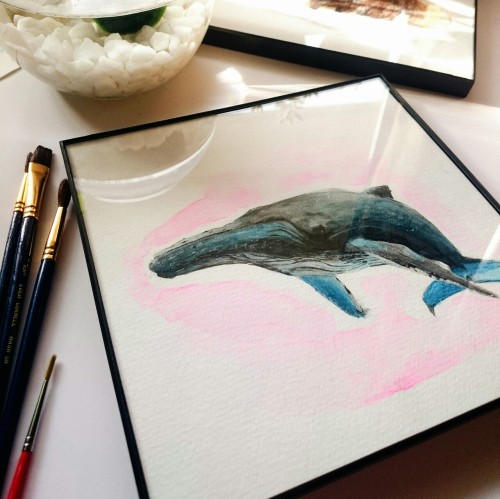 Marimo, brushes and whales and occasionally course sunshine. That all makes a good day!Etsy Zaiguu