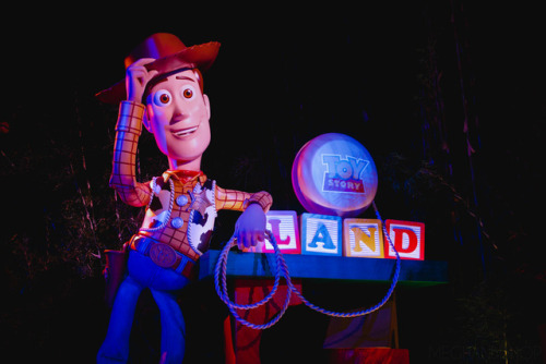 toy story land