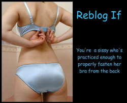 My wife has taught me well &ndash; I can fasten my bra from the back !