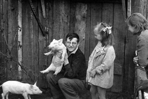 About Shostakovich, This One Is My Favourite Picture Of His