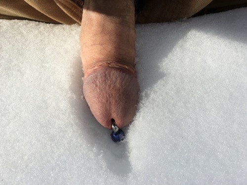 My cock resting in the snow.