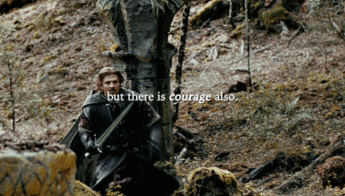 eohmer:Forgive me. I did not see it. I have failed you all. No, Boromir. You fought bravely. You hav