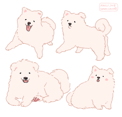 hamotzi:commission 1/3 for andywaffles on instagram! a samoyed puppy :’) 