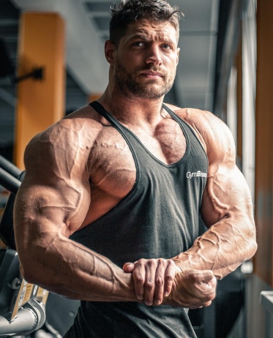 aron1265:  Laszlo kiraly 