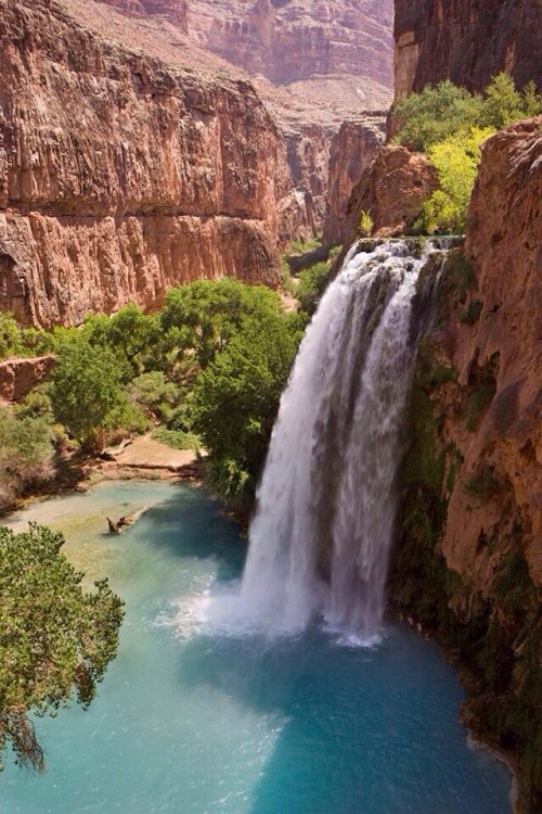 Porn photo awesomeagu:  Amazing waterfall