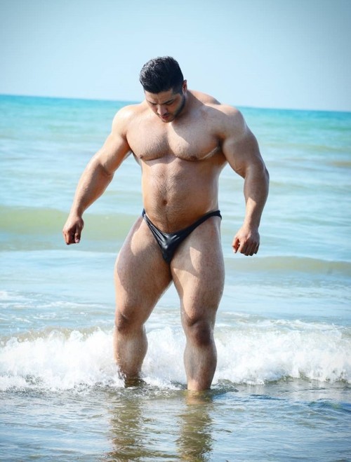 roidedmusclebullswithemptyposers:  offseasonbodybuilders: Ahmad Zakavii woof with a sexy dicklett xx
