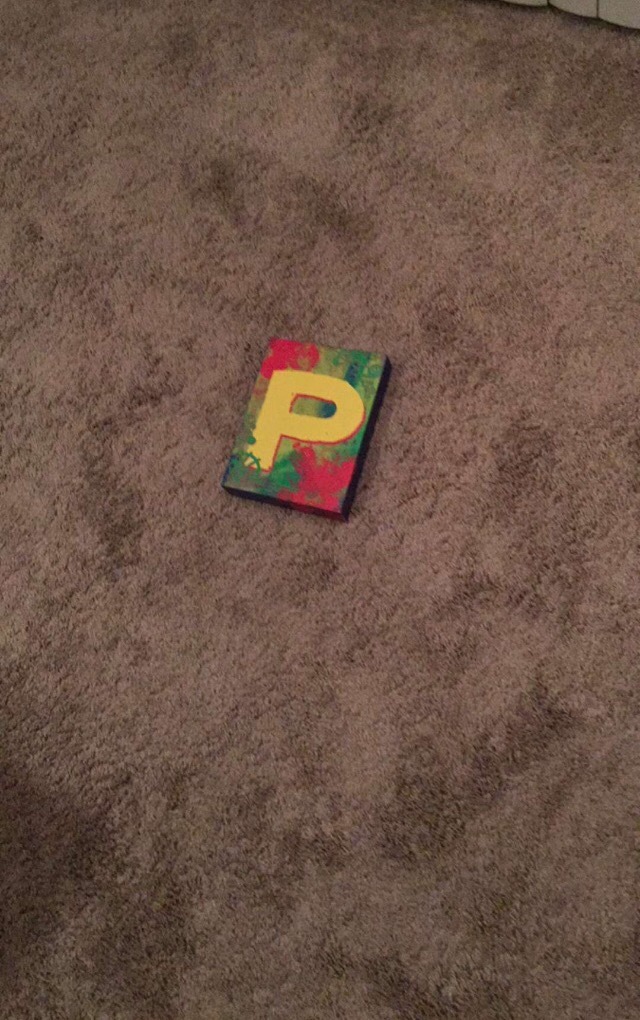 thomas-sanders-with-vine:  Thomas’ Snapchat Story- June 28.