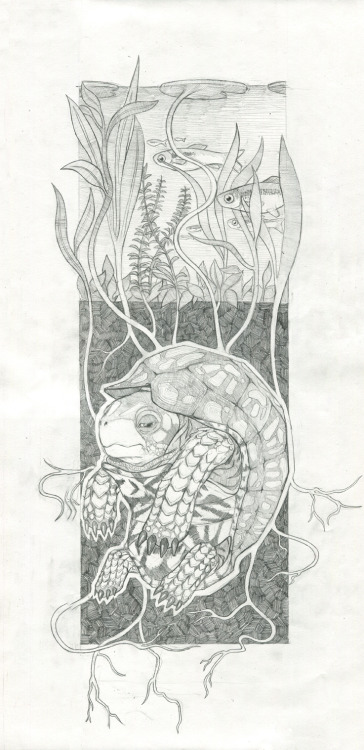 clindhorst:I drew these for Encyclopedia Botanica exhibit at Arch Enemy Arts Gallery You can see the