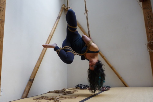 botaniquedelamort:  DarkPirouetteTorture @placedescordesM: Anna Dupont,  P: @shibartiste