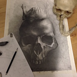 julianfarrar:  &lsquo;The King is dead, long live the king&rsquo; A2 drawing I started last week.