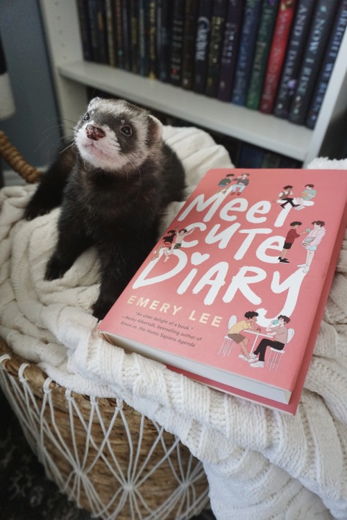 the-book-ferret: Felix Ever After meets Becky Albertalli in this swoon-worthy, heartfelt rom-com abo