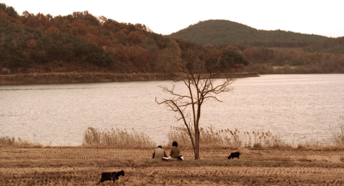 barcarole:   살인의 추억 (Memories of Murder), dir. Bong Joon-ho, 2003.