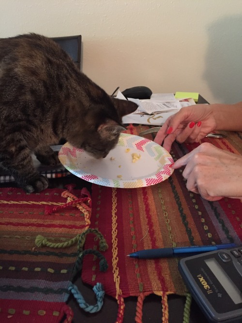 Lucy gets some of human’s breakfast.