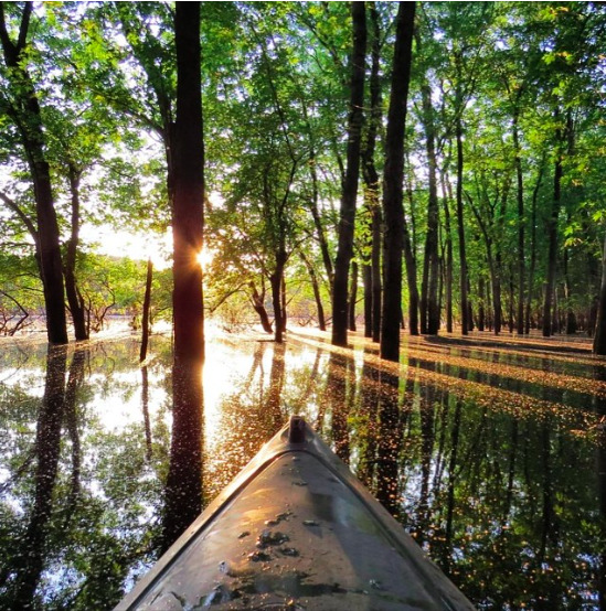 micdotcom:  17 stunning photos remind us how America really is the beautiful All
