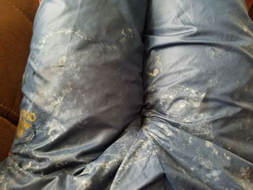 exalba64:pumacreamer:My favorite crusty cumrag to lay around inI bet they smell great and taste good