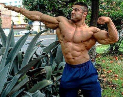 nicemusclemen:  Behrooz Tabani