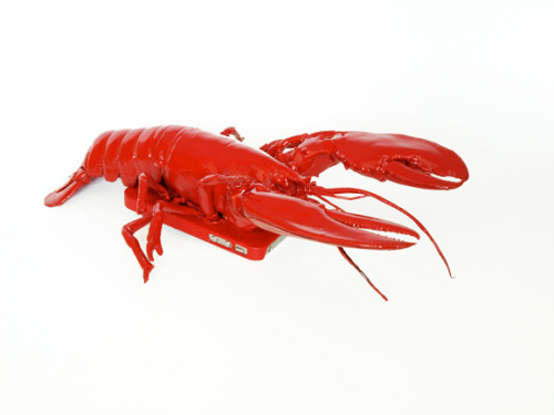 patrollin4bolin:  double-0-honeybadger:  doublewhorls:     Lobster Mobile Phone Case   I can totally see a teacher asking a student why they’re carrying around a lobster and then that awkward silence after hearing, “It’s not a lobster. It’s my