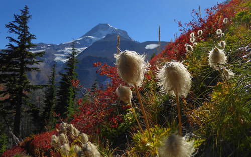 Magical views appear as one approaches Elk Cove by kepPNW