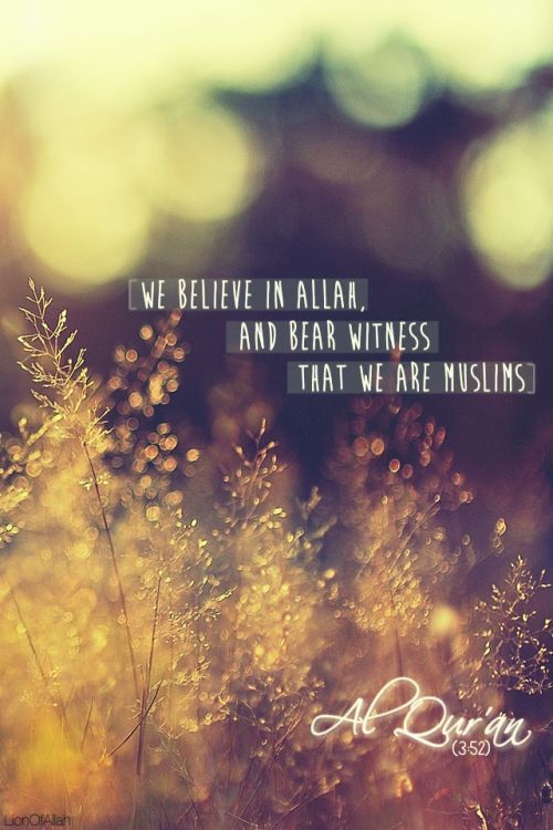 “We believe in Allah, and bear witness that we are muslims.” (Quran 3:52)