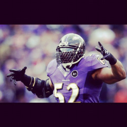 cjd8:  Respect this man. Respect his LAST ride today. Respect his grind, his motivation to give his ALL every single down he played. Respect Ray Lewis. I had chills watching his last home game today.