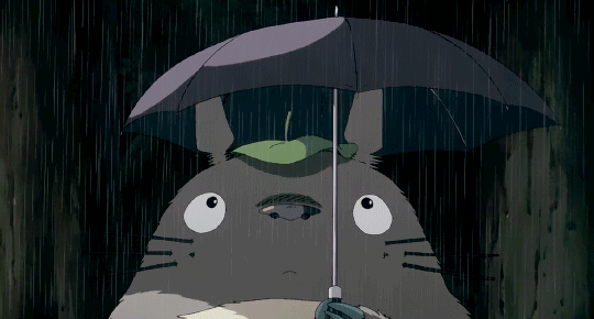 My Neighbor Totoro different versions 😅 | Facebook