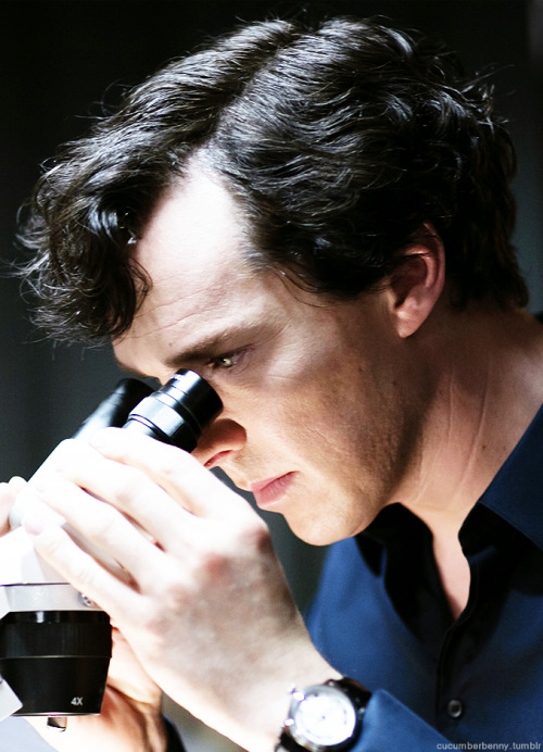 Sherlock S2 X S4