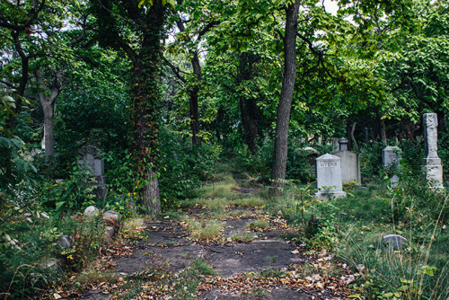 coffeeandattitude:Jewish Graceland Cemetery – Chicago, IL  tumblr • website • instagram • facebook •