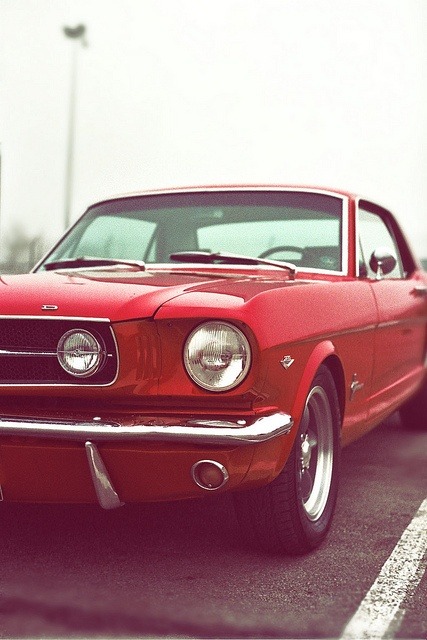 aecpsico:Ok, ok… another cool Mustang pic ;)