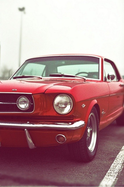 JUST THE COOLEST MUSTANGS