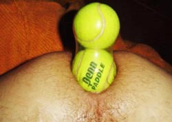 voyeurgg:  Tennis menace……………………..