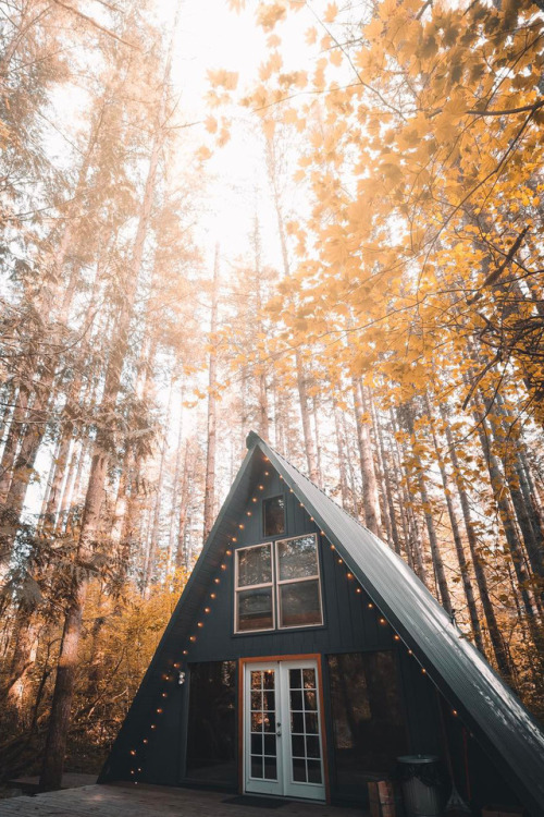 banshy:Tye Haus by Andy Feliciotti