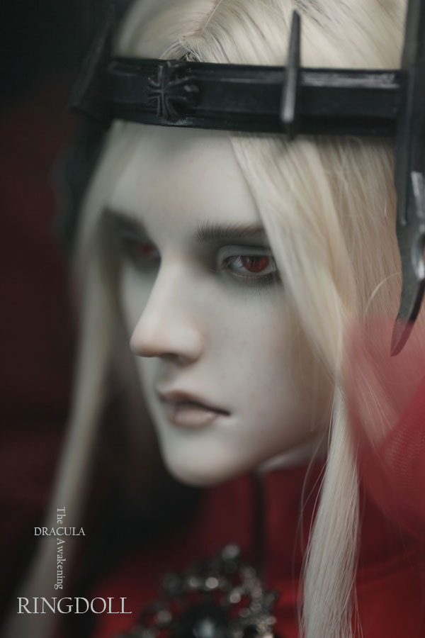 ringdoll:  New release of Ringdoll–Dracula.Dracula is a limited edition with unique