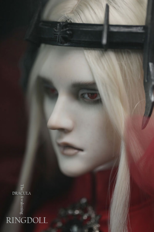 ringdoll:  New release of Ringdoll–Dracula.Dracula is a limited edition with unique style, can be purchased from Feburary 14th, 2015 to May 14th, 2015.This edition will be discontinued when limited purchased time ends but the basic doll(without make-up)