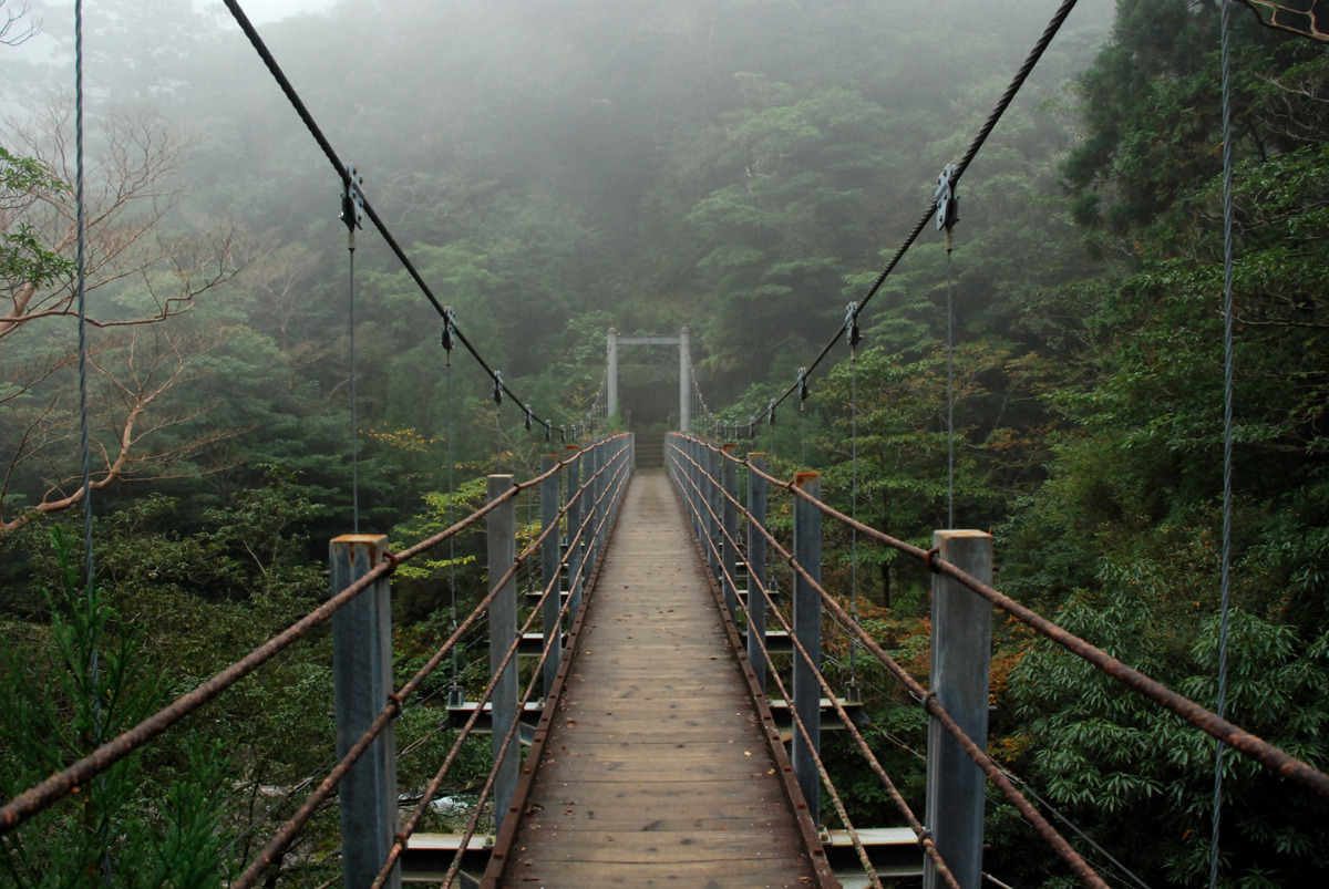 positive-everything:  19.11.2015 Yakushima This morning I woke up early to catch