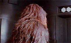 carriefishers-archive:  Han turns to his companion, CHEWBACCA, an eight foot tall, savage-looking creature resembling a huge gray bush-baby monkey with fierce “baboon”-like fangs.  His large yellow eyes dominate a fur-covered face and soften his