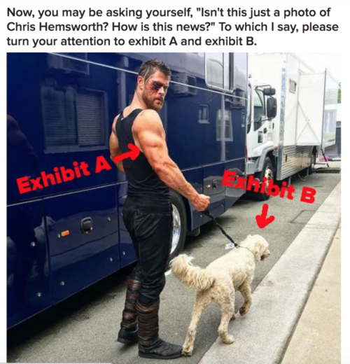buzzfeed: weirdbuzzfeed:Excuse Me, Here Is A Very Important Photo Of Chris Hemsworth’s Arm :)