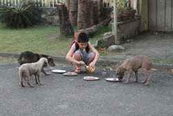 diy:  This 9-Year-Old Built A Nonprofit, No-Kill Animal Shelter Out Of His Garage To Help Stray Animals Ken, 9, has grown up dreaming about someday having a shelter to help the stray animals that live near his home, but he never dreamed he could reach