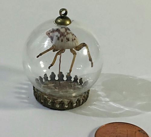 I have made many more creepy hybrid creatures since my last post!  Those that are mounted in glass a
