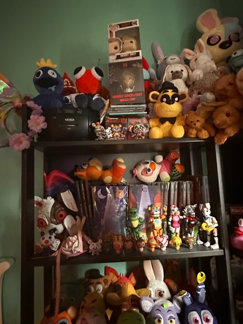 my hyperfixation shelf send help please