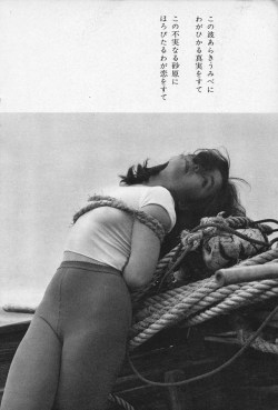 sowhatifiliveinjapan: 裏窓 (1963年08月)