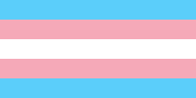 thetrevorproject:  big-brother-transmen:  Today I wanted to talk a little about a piece of trans* history. The transgender flag was created in 1999 by one Monica Helms, a woman who is transgender herself. The flag was first flown at a pride parade in