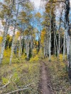 sagebrushandsoil:Hello Autumn 🍂 I love you 