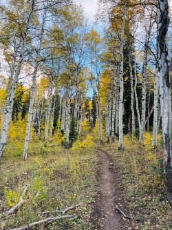 sagebrushandsoil:Hello Autumn 🍂 I love you 