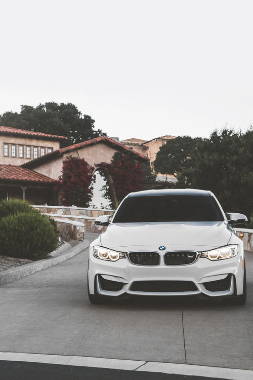 looking-fresh:  