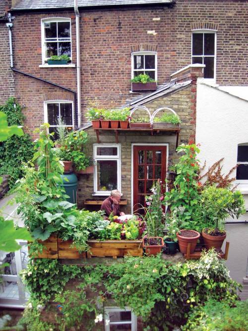 artamanen:Small-Space GardeningGrowing food in small spaces can be fun and productive — you just nee