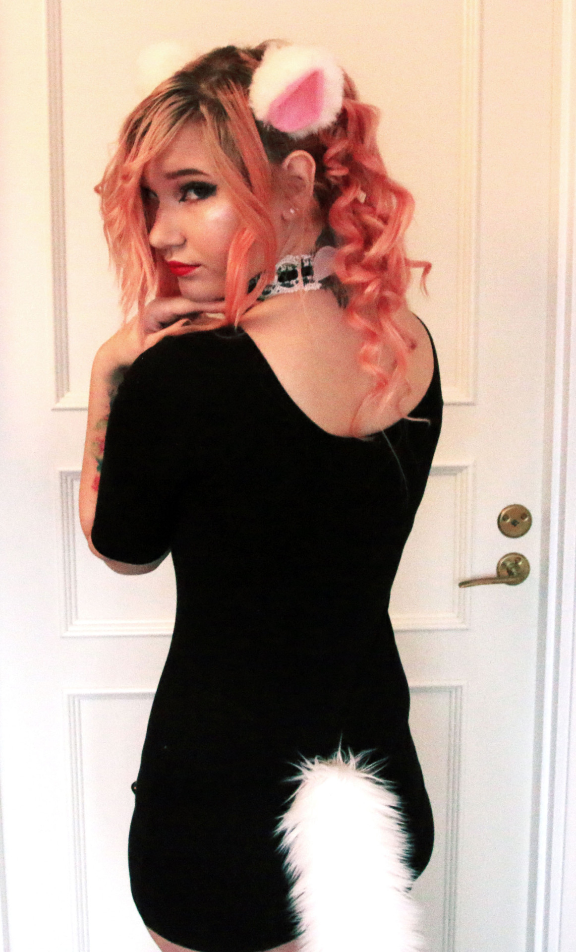 littlewhitefox1:  meow meow 