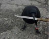 todaysbird:bastardous crow moodboard 