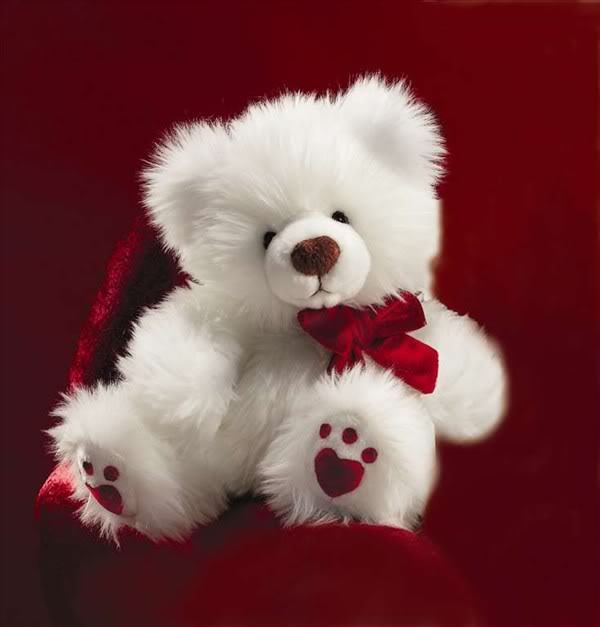 Eye candy white teddy