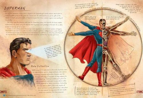 I’m happy to finally announce DC Comics’ ANATOMY OF A METAHUMAN. I spent a year illustrating t